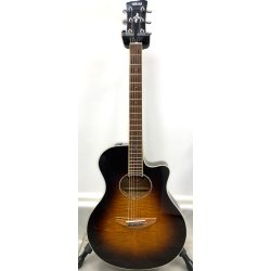 (BRUGT) Yamaha APX600FM TBS